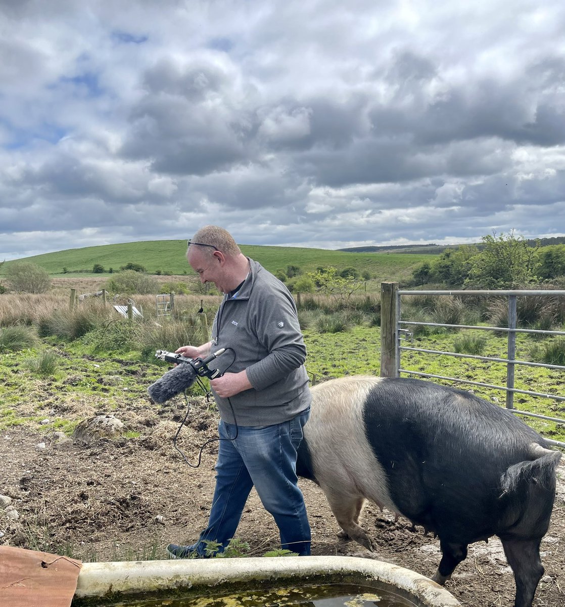 Burren Free Range tweet media