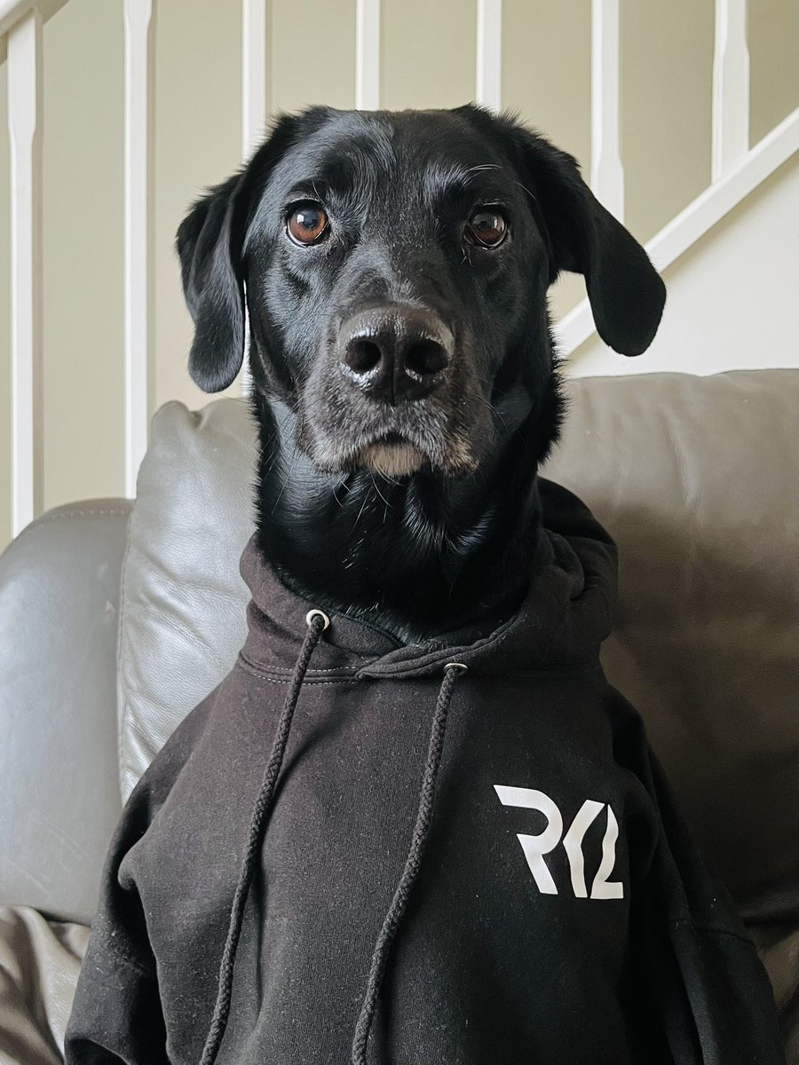 Pets of the RKL 🦍🐶🐱

Apart from being the proud owner of your kongs, what pets do you have❓

Here’s one of the team RKL dogs ‘Buddy’ 

Get those pictures below, bonus points if you get some RKL merch in there 📸⬇️
