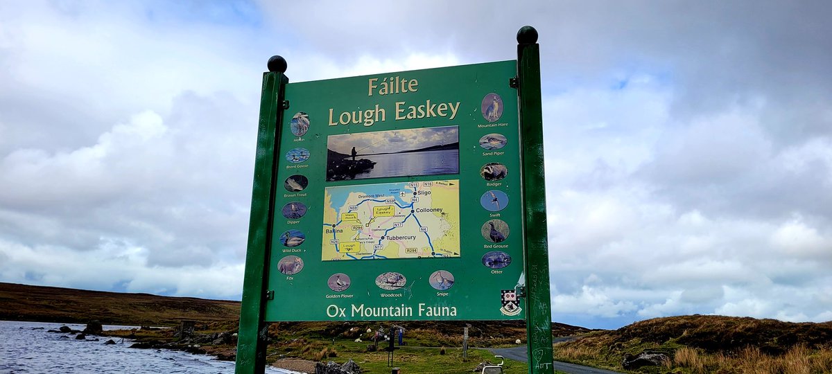 macgabhann31's tweet photo. On my way back to #tubbercurry from my adventures in #ballina I stumbled across this amazing little spot that seems to cross every walking trail out there. Lough #Easky is now on my list. #keepdiscovering #lovesligo #wildatlanticway https://t.co/rHT74SCQP1