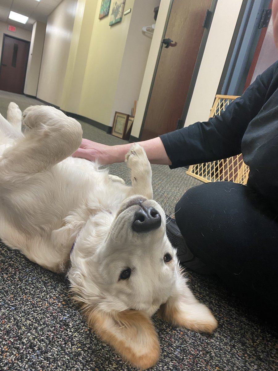 namiwci's tweet photo. We find it fitting that National Pet Week coincides with Mental Health Awareness Month due to the power of pets in mental health treatment. How has pet ownership made your life better? We'd love to hear your stories in the comments and share your pictures in our newsletter! https://t.co/Bc2DsUdYLW