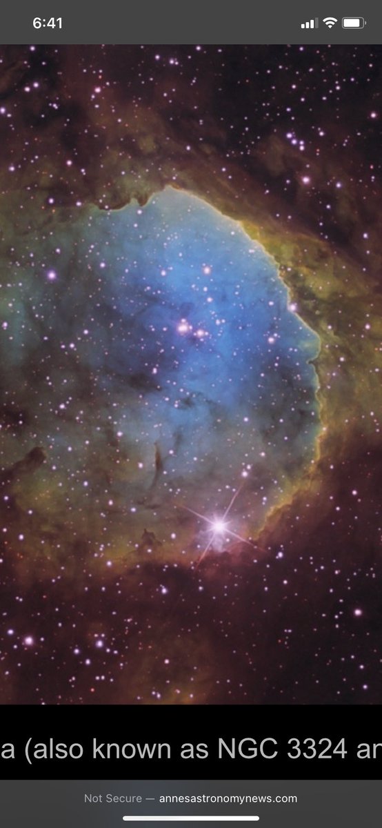margaritapoet's tweet photo. Chilean #poet Gabriela Mistral is one of the main characters in #SingingWithElephants. This #nebula was named for her because it resembles her profile. She is the only Latin American woman winner of a #NobelPrizeforLiterature. @penguinkids https://t.co/0drMPHfCYc