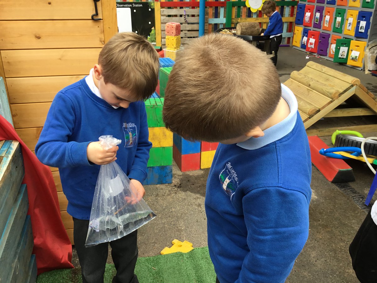 BlockleyPrimary's tweet photo. Reception have had fun this week making goldfish bags and minibeast homes! #receptionlearning #explorativeplay #imagination https://t.co/33SE2Jyfi3