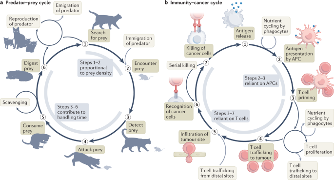 Tumour immunotherapy: lessons from predator–prey theory dlvr.it/SPpt5m