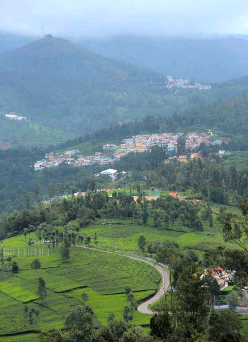 घडेरी दलालहरुले भरतपुरतिर जग्गाको भाउ बढ्यो भन्दै छन्। हामीले सिंगै तराईको बस्ती उठाएर पहाडमा यस्ता दर्जनौंदर्जन शहरहरु बसाल्ने #मुकुन्दल्याण्डको रोडम्याप बनाएको घोषणा दोहोर्‍याउँछौँ।