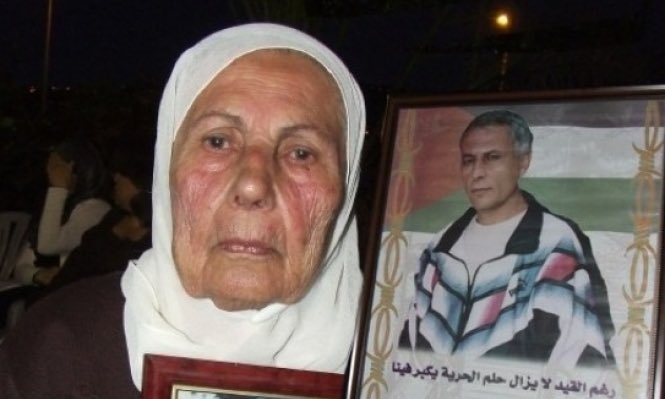 Shireen AbuAqla شيرين ابو عاقلة tweet media