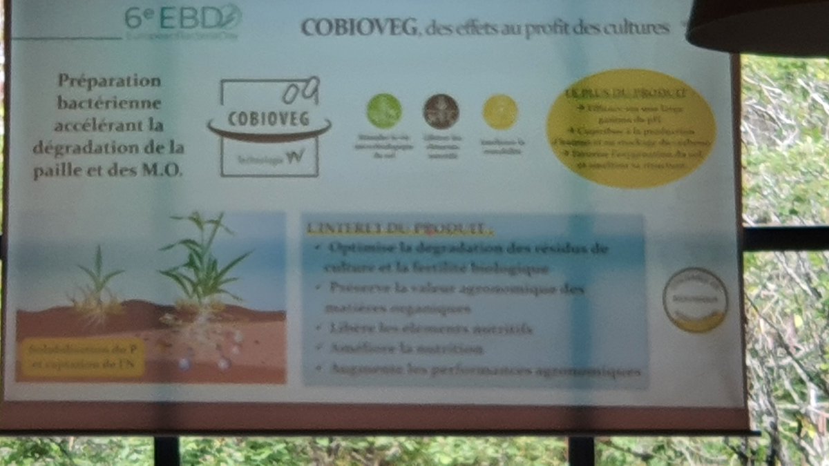 Via Vegetale tweet media