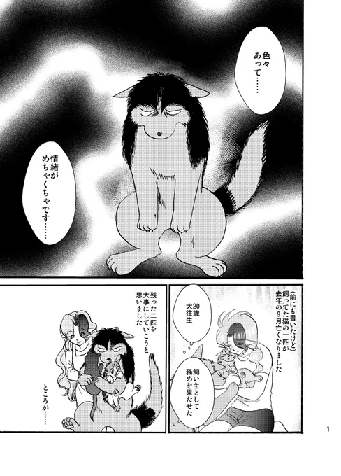 本日配布したチラシです! 