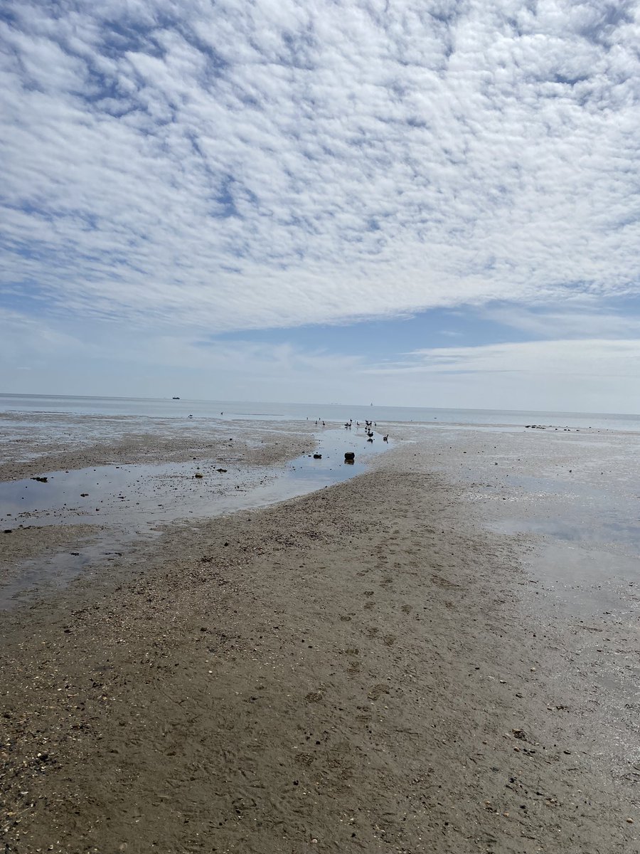 In vrijheid #dankbaar