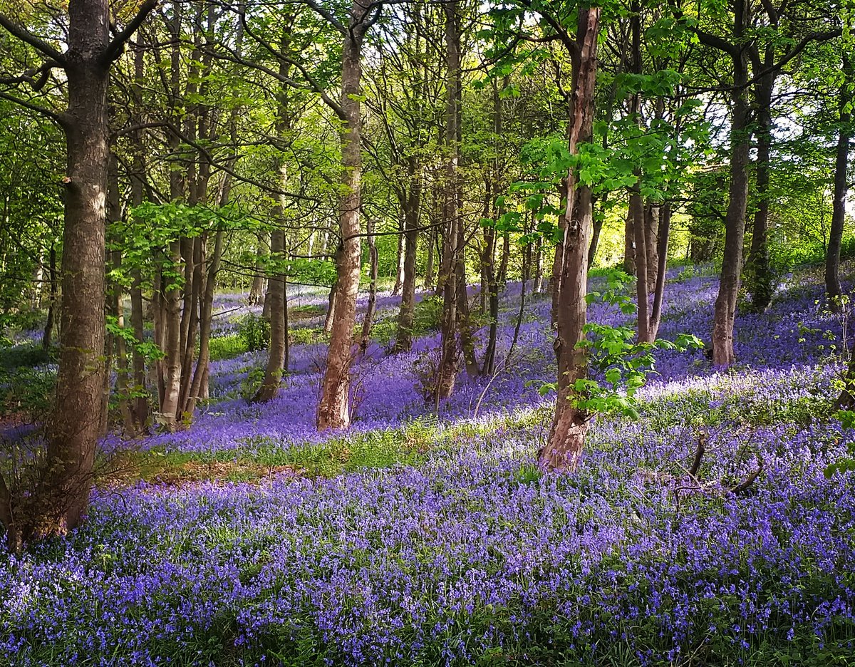 A welcome change in the wind direction and some rain this week and things are really starting to take shape 👍