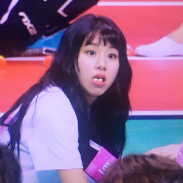 tiny_chae tweet picture