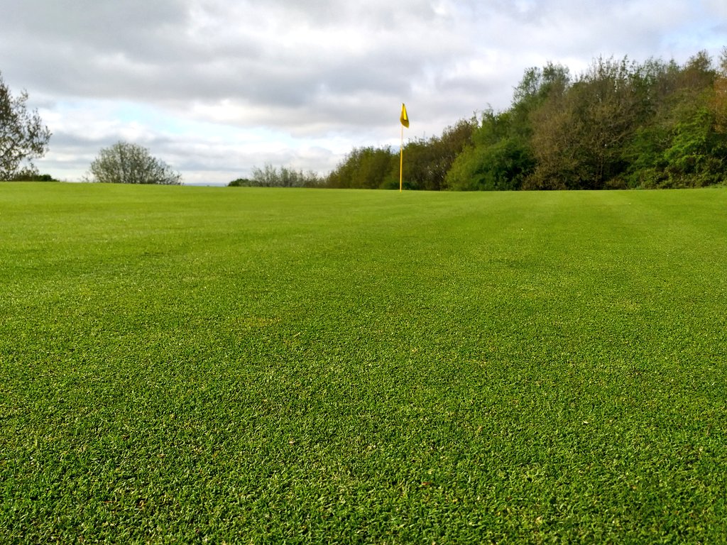 HuddersfieldGC Green tweet media