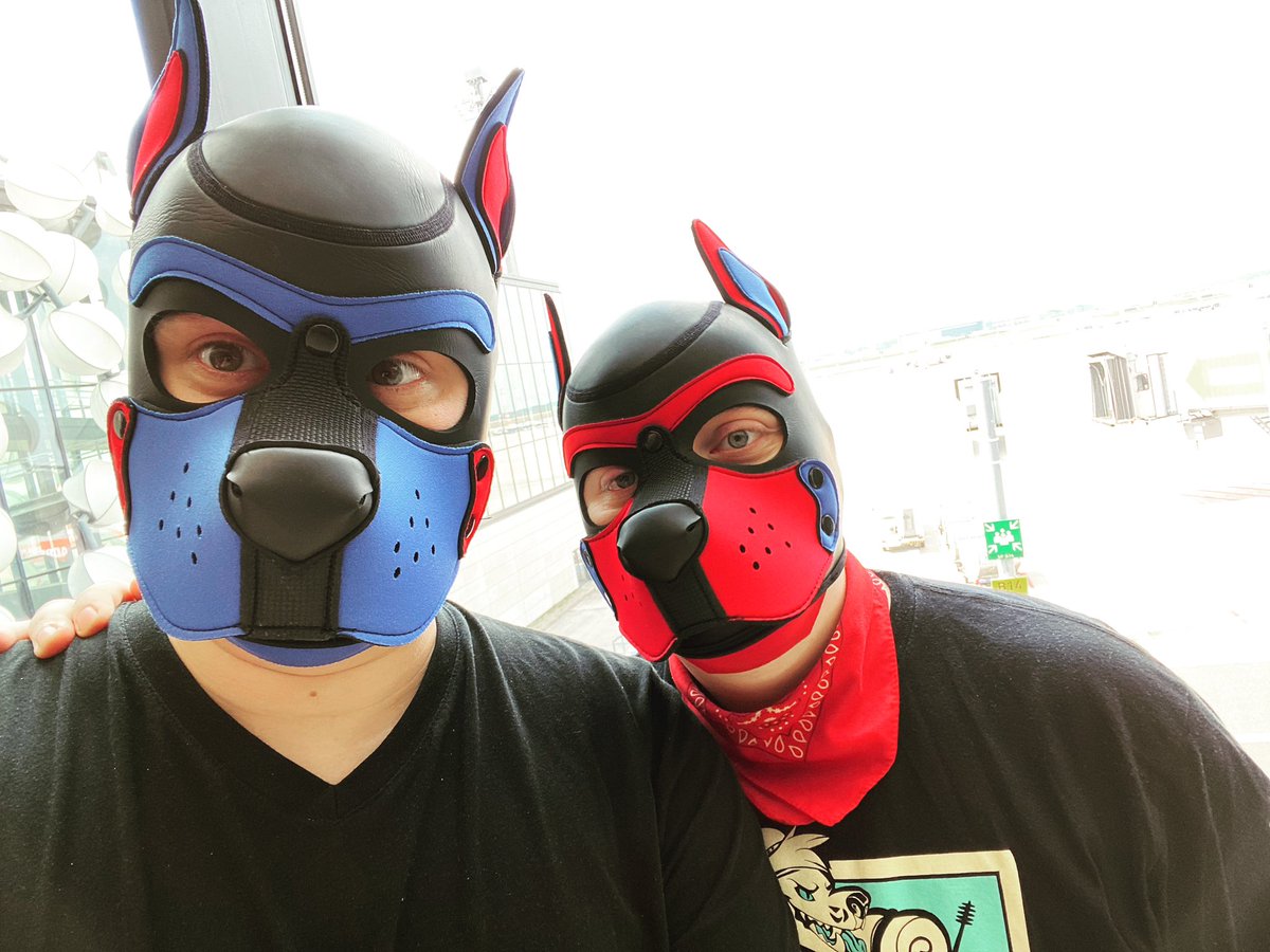 puppyginko's tweet photo. On the way to Kreta π« #gay #gayboy #gaylife #gaymer #homogram #gayguy #gaygeek #gayworld #gaypuppy #puphood #humanpuppy #pupplay #gaypride #gaypic #gaypup #mrsleather #kinkyshit #gayeurope #pupplaycommunity #gaypupper https://t.co/6zykm8wX3n