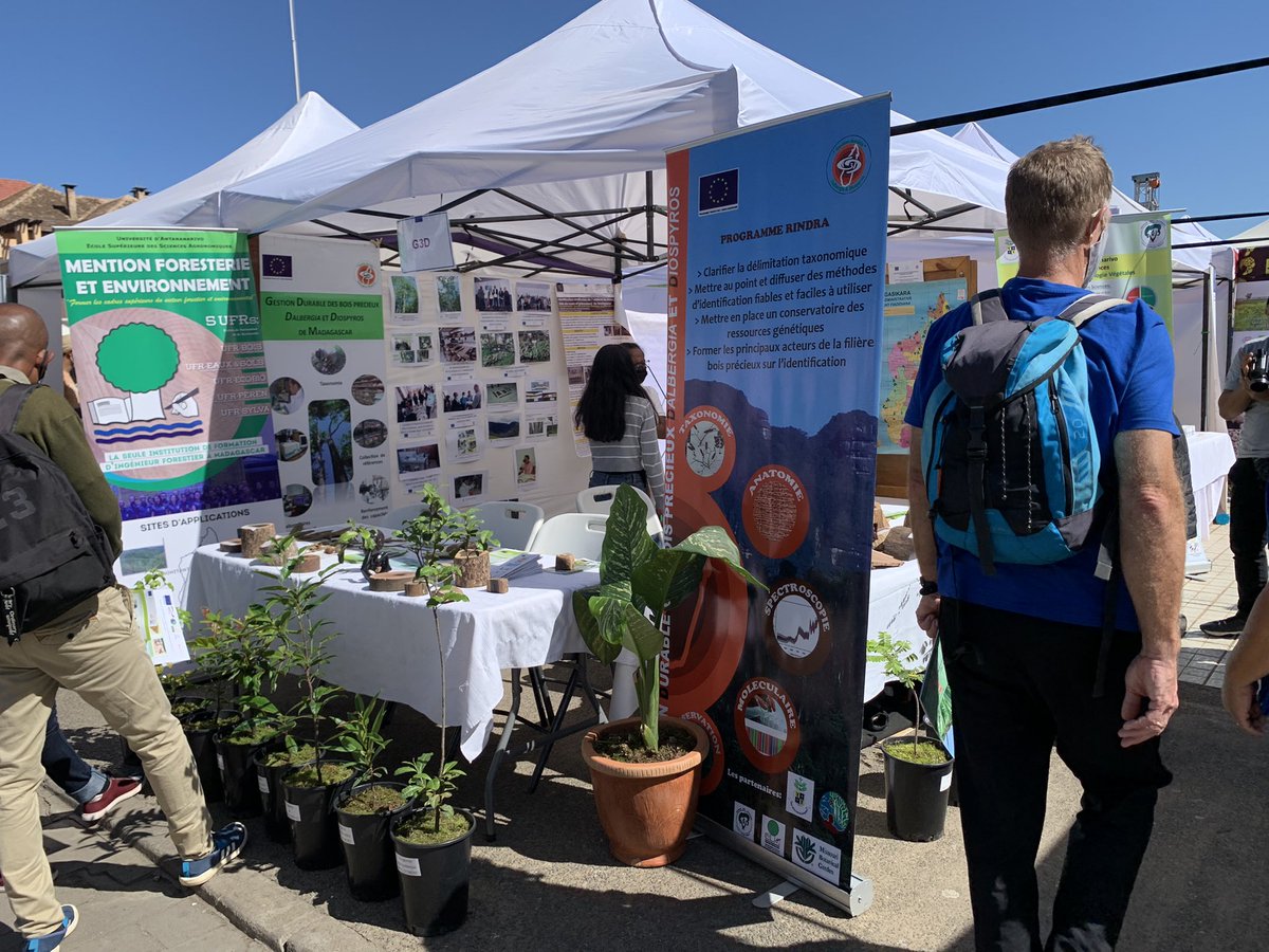 Nous vous invitons à visiter le stand du projet G3D (gestion durable des #bois précieux Dalbergia Diospyros) sur le parvis Analakely dans le cadre de la semaine de l’Europe <a href="/NainaAndriants1/">Naina Andriantsitohaina</a> <a href="/UE_Madagascar/">UE à Madagascar & aux Comores</a> <a href="/ESSAForets/">ESSA Eaux et Forêts</a> #boisderose #ébène