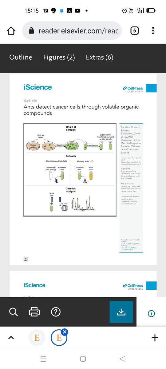 MOUMITA90276066's tweet image. Super cool findings. #cellpress #iScience
reader.elsevier.com/reader/sd/pii/…