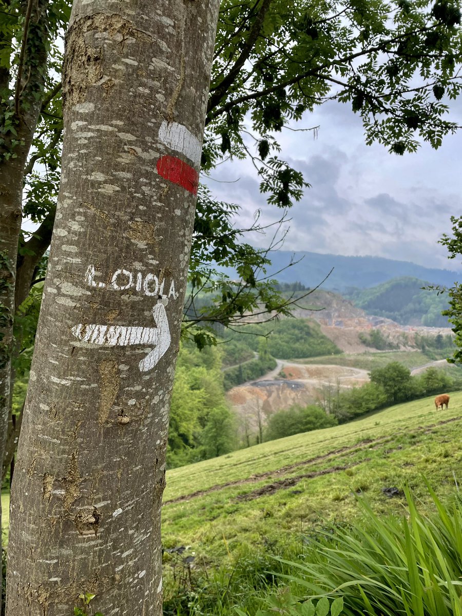 escuelassj's tweet photo. #adentraTE
Dia5-etapa5👣 
Bidegoian-Loyola

Ya en #Loyola,Camino acabado🥳
Todo el recorrido genial, con un grupo que hemos crecido cada día y hemos aprendido a superarnos y disfrutar de la naturaleza.
Muy felices y agradecidos 💚

#CaminoIgnaciano
#CamiIgnasia
#IgnaziotarBidea https://t.co/QnqMabNVz5