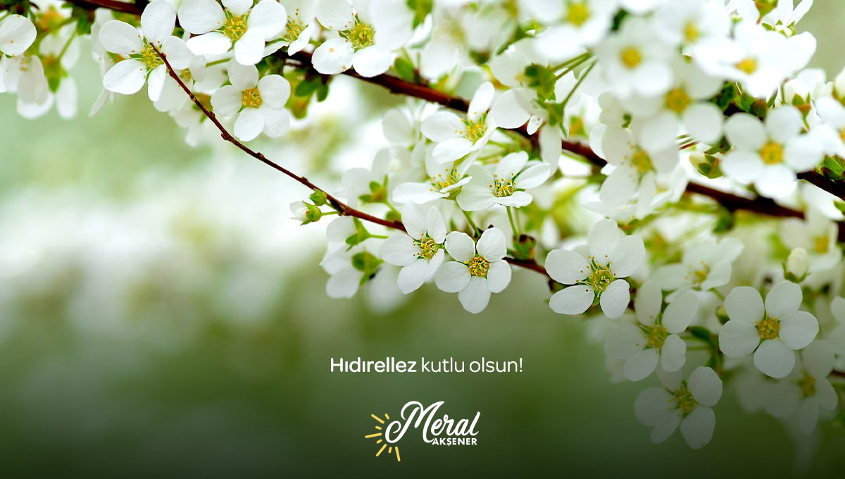 Meral Akşener tweet media