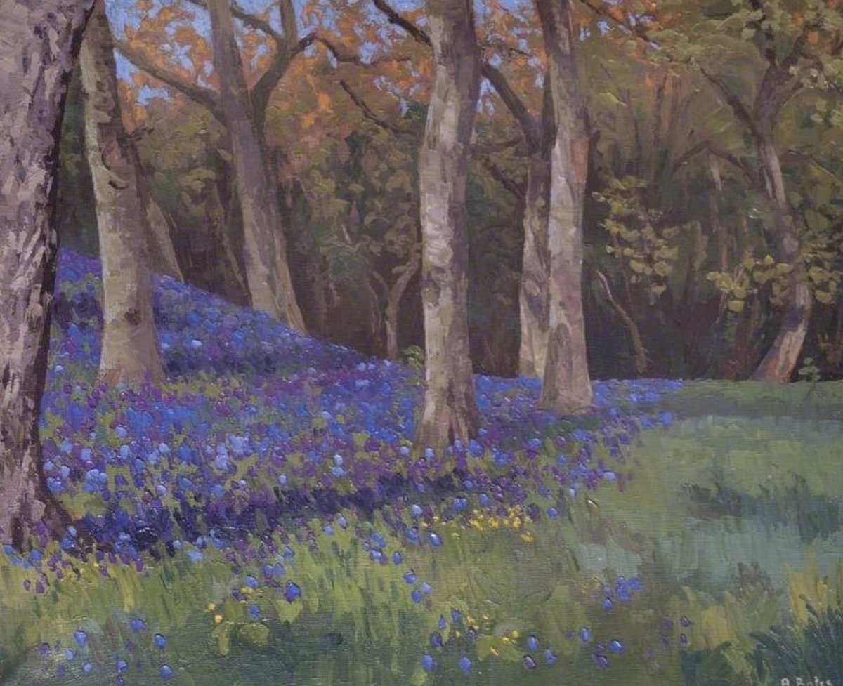 In the Great Wood across the river from Old Fox's cottage, the bluebells were more beautiful that spring than anyone could recall, even the Elderly Squirrel said so. Last time they were close to that particular shade o' peacock, Old Boney was still in his prime, he said to Wolf. https://t.co/R2TRy0hAGb