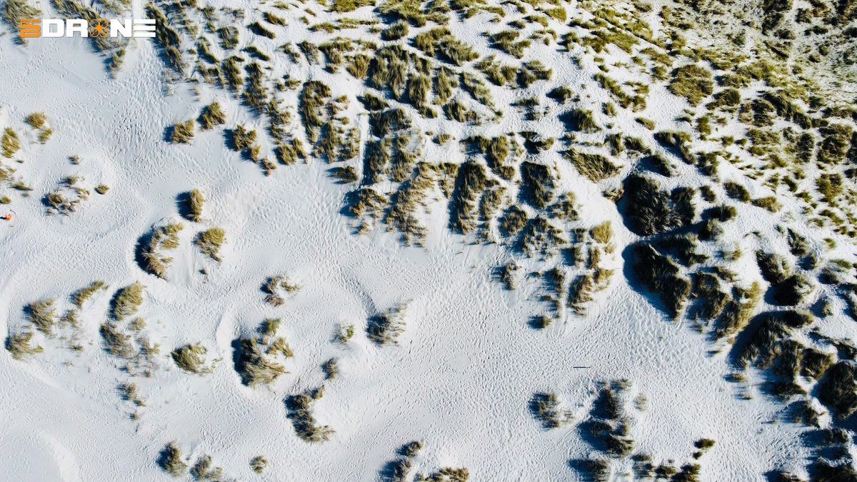 RPBdrone tweet media