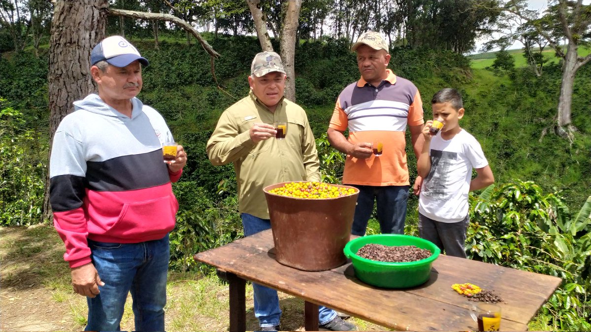 Nos Fuimos Con nuestro <a href="/AdolfoP_Oficial/">Adolfo Pereira Gobernador</a> Alcalde <a href="/felixlinarespsu/">felixlinarespsuv</a> a la parroquia Guarico la #2 Parroquia productora de café “500 mil quintales de café se está  produciendo en el estado y han sido exportadas más de 1.000 toneladas. Producir es vencer y nosotros estamos venciendo!