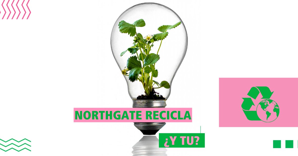 northgate_es's tweet photo. Como empresa concienciada con el #medioambiente y el desarrollo #sostenible, tratamos de minimizar nuestro impacto, siendo  conscientes de los procesos de reciclaje de los elementos y residuos derivados de nuestra actividad. ¿Y tú, #reciclas? https://t.co/cVjgPeQ3mp https://t.co/SeJmHgt8wg