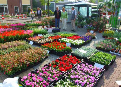 Traditiegetrouw op de zaterdag vóór #Moederdag; de jaarlijkse #Groenmarkt van de wg Volkstuinen van <a href="/WijkverWVF/">Wijkvereniging WVF</a>! Aanstaande zaterdag 7/5 @ Petuniaplein (en 's ochtends ook bij Westenhage) #Westenholte stinskracht.nl/agenda/82919/2…