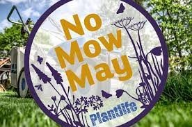 craig_parc's tweet photo. We are taking part in #NomowMay2022 with @Love_plants https://t.co/kVgdCXcvZx Some of our large grass areas in school will be left to grow for the month of May. This fits in well with our theme Wriggle and Crawl for this term. Join us and tag us in your lawn pic @EcoSchoolsWales https://t.co/8B5diMBtsM