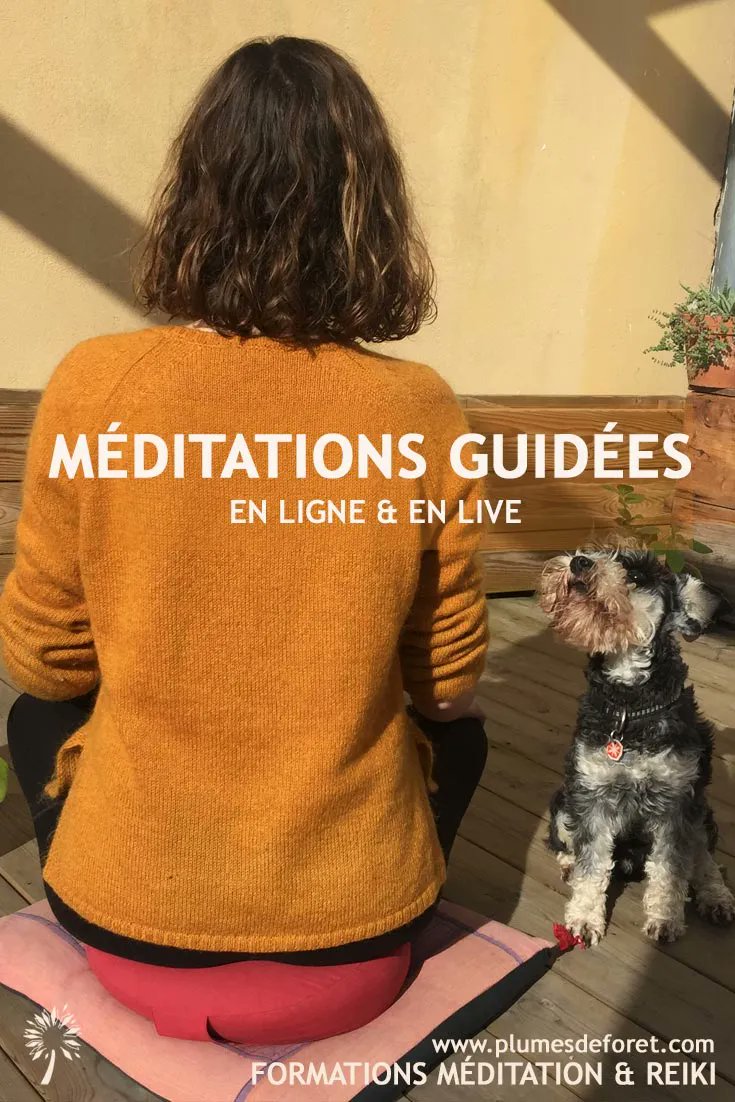 il reste quelques places seulement pour la prochaine méditation zoom : vendredi 6 mai à 18h 👉buff.ly/3blB1QW