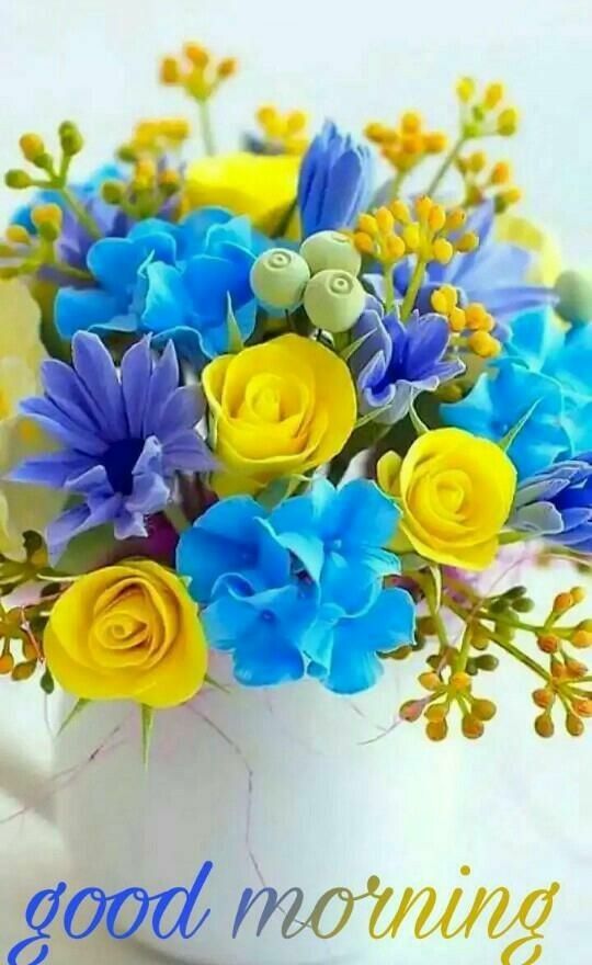 Start your day with love, smile, power and laughter and you will live your life with happiness, peacefulness and joyfulness. And you will live everyday feeling blessed.