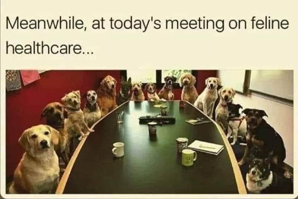 Julie Drury tweet media