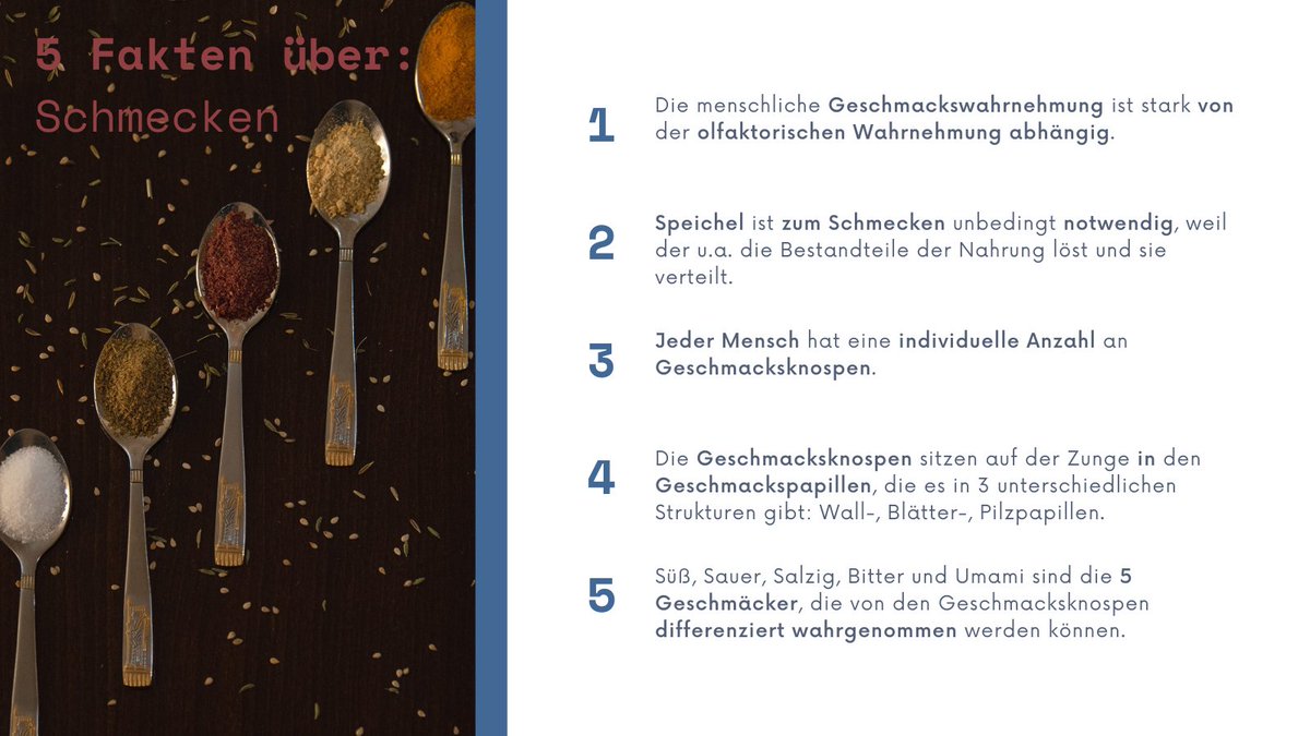 lifescience_nds's tweet photo. #Faktenfreitag - Schmecken 👅
Nächste Woche findet das erst #FoodHyper-Bootcamp statt, deshalb widmen wir unsere 5⃣ Fakten diese Woche dem Geschmackssinn.🍋🍯🧂🫑
Das 2. FoodHyper-Bootcamp ist aktuell für Oktober geplant. https://t.co/omFo2ccBq5