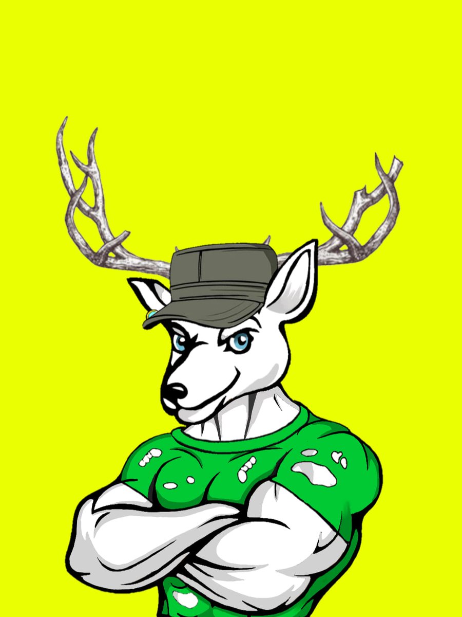 The Angrybucks ⚛ tweet media