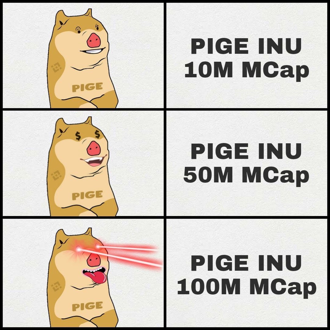 RealCryptorich's tweet photo. #PigeInu @PigeInu 1000x 💹 https://t.co/M3e33UHwEI