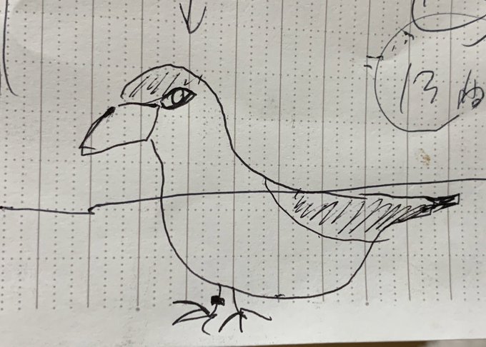 家族が描いた鳥ちゃん見て 