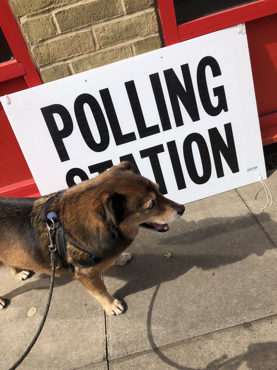 #dogsatpollingstations she can’t vote because she’s Romanian.. and a dog. But happy to wait for a treat
