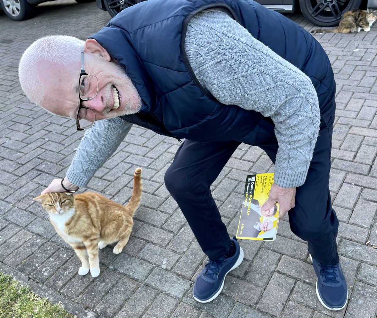 stewartcdickson's tweet photo. A Cat-alogue of some friends I met on the election trail 🐈 https://t.co/18a0b1qtRj