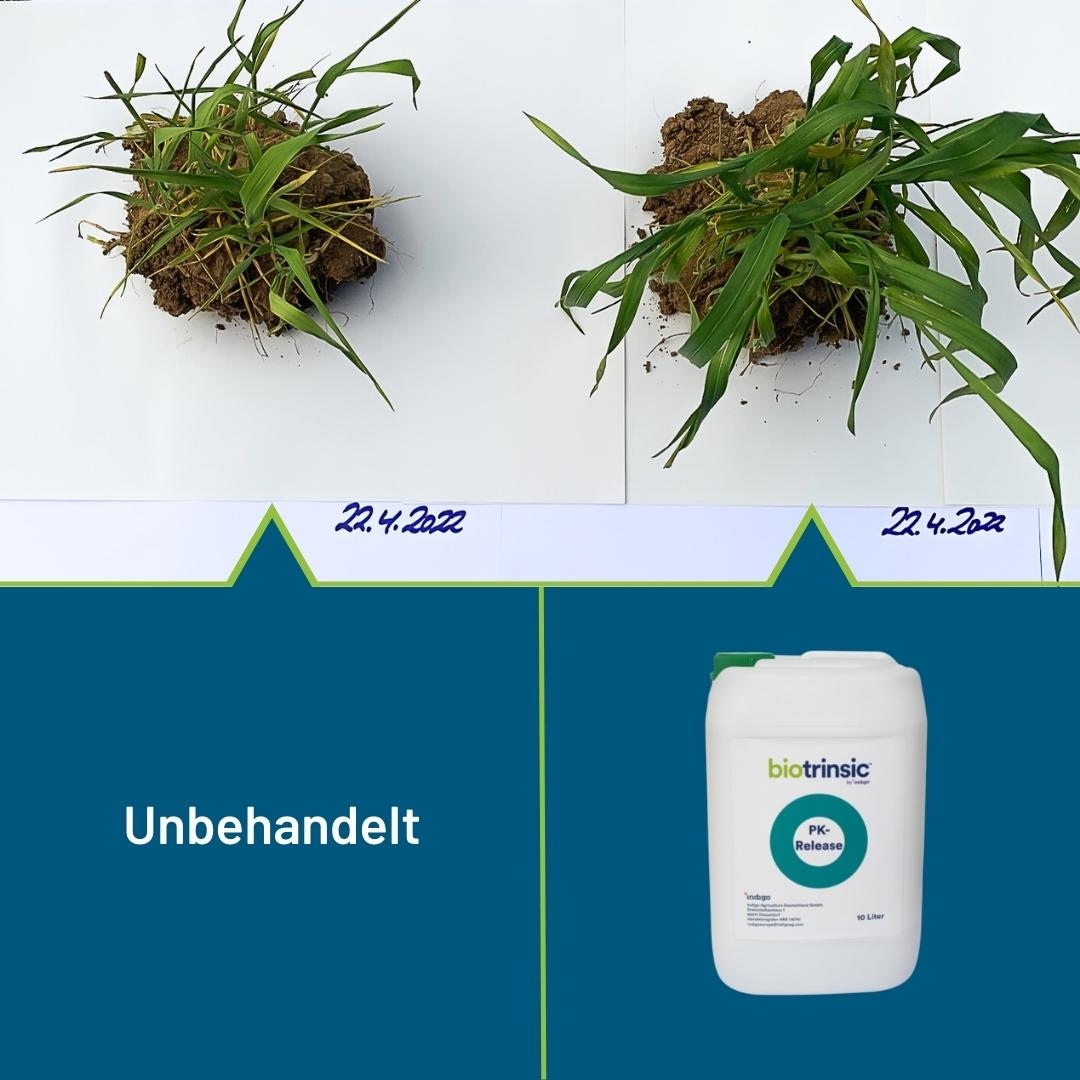 Indigo Agriculture Deutschland tweet media