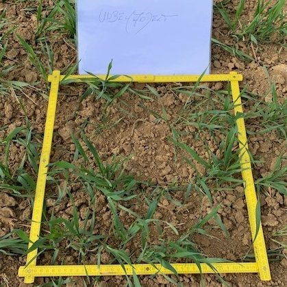 Indigo Agriculture Deutschland tweet media