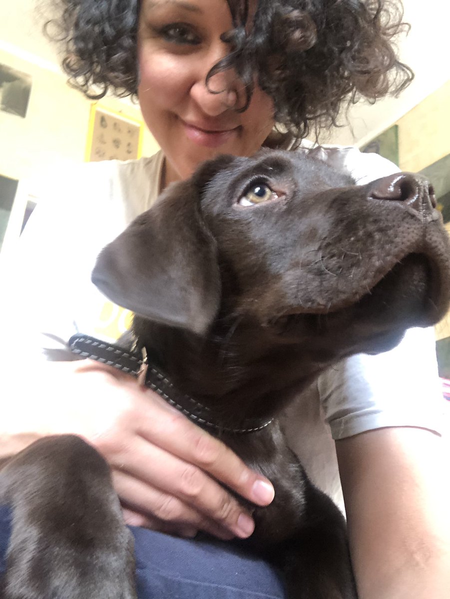Puppy life