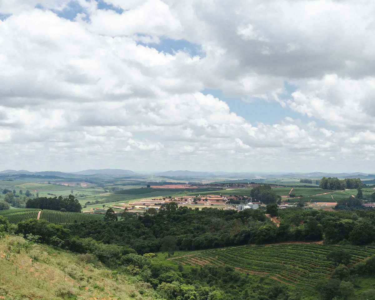 thrivefarmers's tweet photo. A New Perspective
.
Brazil is so big, and the coffee fields are so large, that farms have towers to help give farmers a greater perspective. Fazenda São Paulo dedicated a tower to Thrive Farmers: a new perspective to see impact in Brazil. #TogetherCultivatingGood https://t.co/ag42UmO7OY