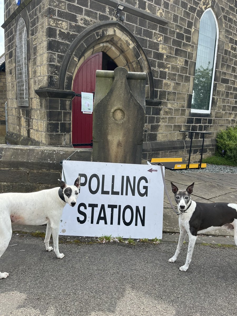 TheresaWraith's tweet photo. We made sure we did our bit on our walk this morning #comeonyoureds  #dogsatpollingstations #whippet #vote https://t.co/6xdYbllJe6