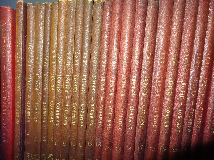 ZSLLibrary's tweet image. Economic or applied #entomologist Eleanor Anne Ormerod was born #OTD in 1828. Here are a few of her publications in #ZSLLibrary &amp;amp; a #shelfie of her reports on observations of injurious insects from 1877 to 1900. #WomenInSTEM