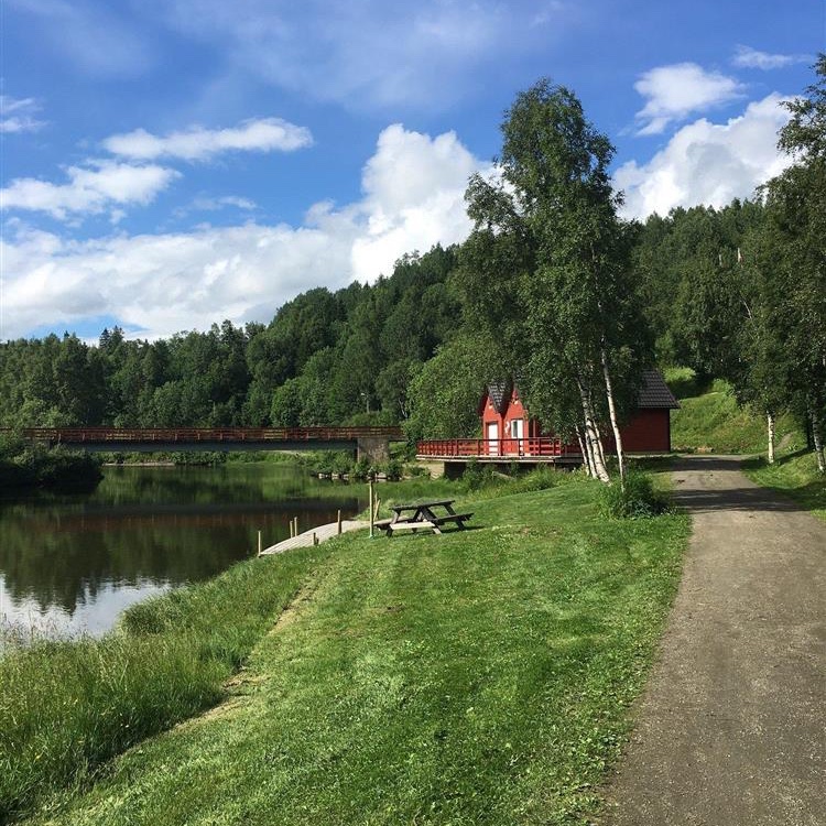 𝙼𝙰𝙶𝙽𝚄𝚂 𝚂𝙲𝙷𝙰𝙵𝚃🥨🐑🎾🍺 tweet media