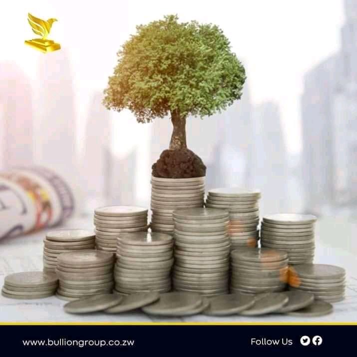 bullion_group's tweet photo. A tree eventually forests, typically money invested eventually give you good returns.#trusttheprocessŕ
#Bulliongroup
#intergenerationalwealth
#financialconsultant App/call +263773030691 or visit us at no 153 Sam Nujoma Extension Belgraviá Harare.
@takemorem1
@EsteemComms https://t.co/LmtWawCMTY