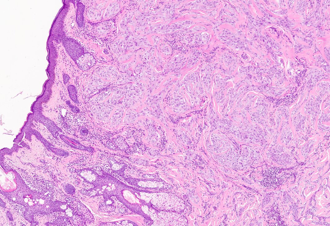 Jorge Fernández tweet media