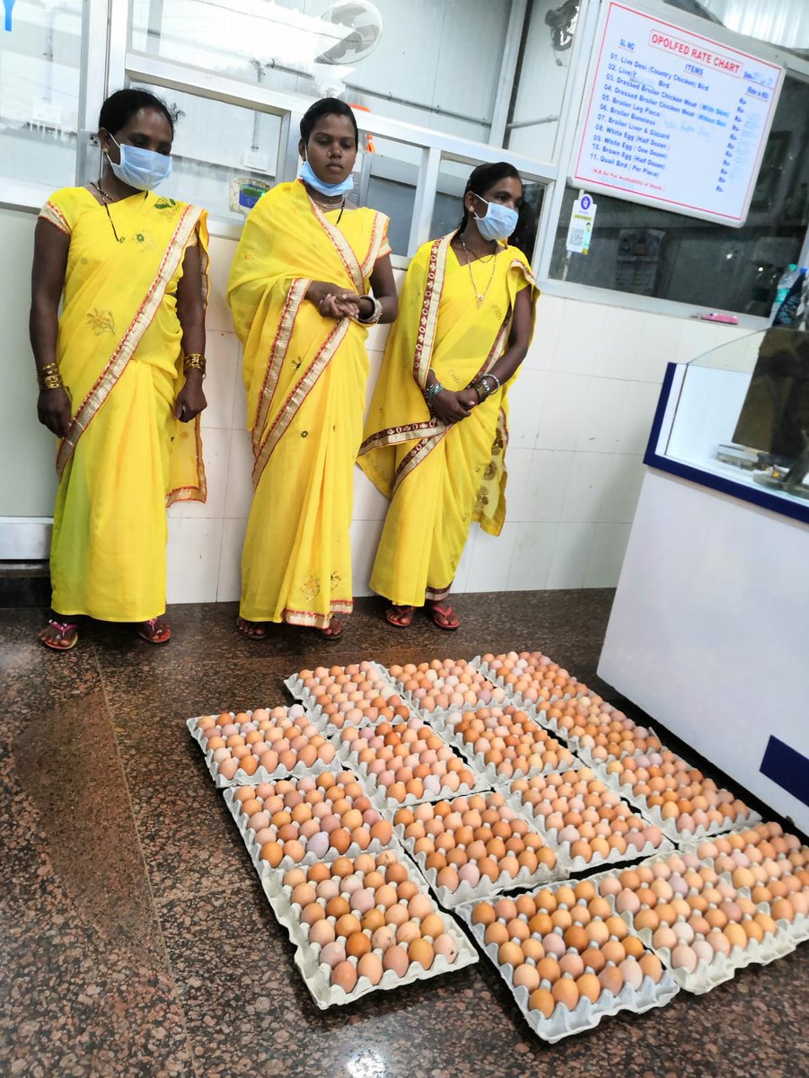 opolfed's tweet photo. The members of Maa Thakurani WSHG, Kotpad, #Koraput Dist. selling their poultry eggs  through #OPOLFED CHICKEN FRESH OUTLET, #Jeypore. 

We have always believed in our vision to help in establishing Poultry Co-operatives in #Odisha

@CMO_Odisha @dmkoraput  @farddept https://t.co/cgY7WdYzSN