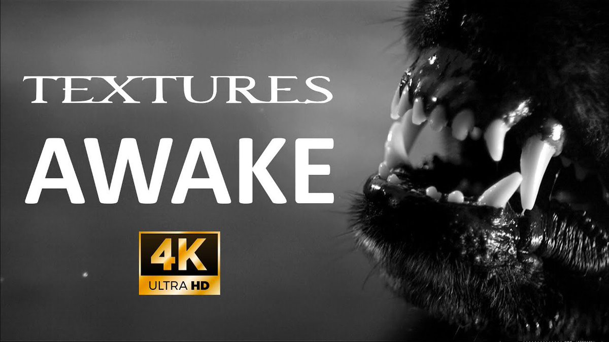 It’s been exactly 14 years ago today we released ‘Silhouettes’. For that occasion: After many requests and searching in archives: Textures Music Video for the song 'Awake' (from the album 'Silhouettes'), is now available in 4K. youtu.be/_gDB0bcnvd8 via <a href="/YouTube/">YouTube</a>