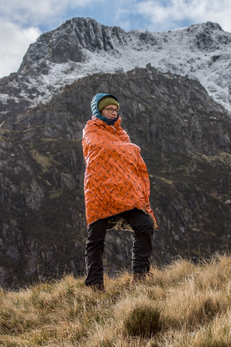 Blizzard Survival tweet media