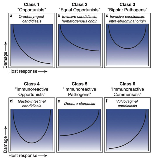 A review entitled “Applying the Host-Microbe Damage Response Framework to #Candida #Pathogenesis: Current and Prospective Strategies to Reduce Damage” from Paul L. Fidel, Jr. et al.

View full text at mdpi.com/2309-608X/6/1/…