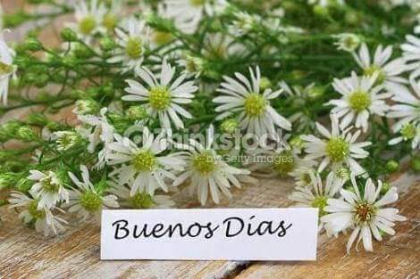 SoyLauraRivas's tweet photo. Bonjour Gracias por despertarme #TAMJ Así... bonito!!! #JuevesmidiaFavorito vamos a seguir trabajando con muchas ganas!!! https://t.co/6OuJcwj8iU