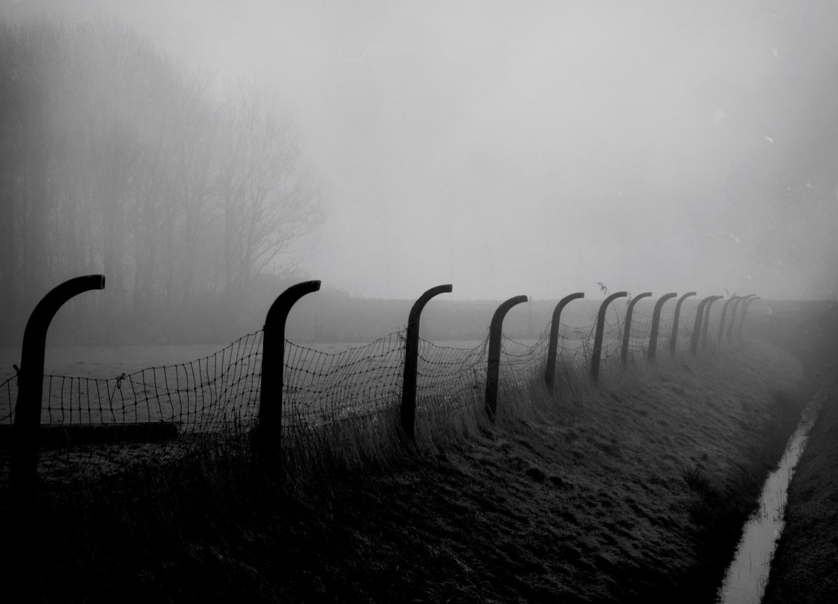 fogsongsblog's tweet photo. Ambient/Drone Recommendations (May 2022)

Here's a list of wonderful ambient/drone albums that I've been enjoying lately and would highly recommend...

https://t.co/5KOFOIL1cP

ft. @blackknoll @thelonelybell_ @marine_eyes @vapournight @gold_noise @GatelessGate1 @DiamondsteinAV https://t.co/w3bf9xvxoI